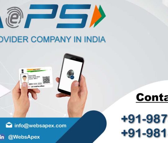 Top AEPS Software Provider Company in India – WebsApex